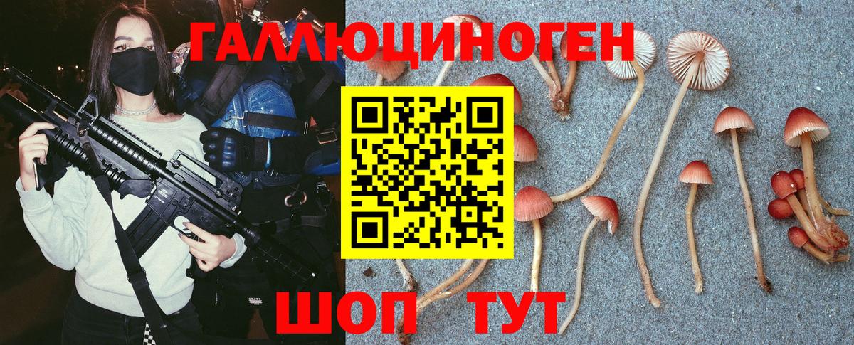 Ревда  купить   Вход с VPN  Псилоцибиновые грибы Psilocybine cubensis 